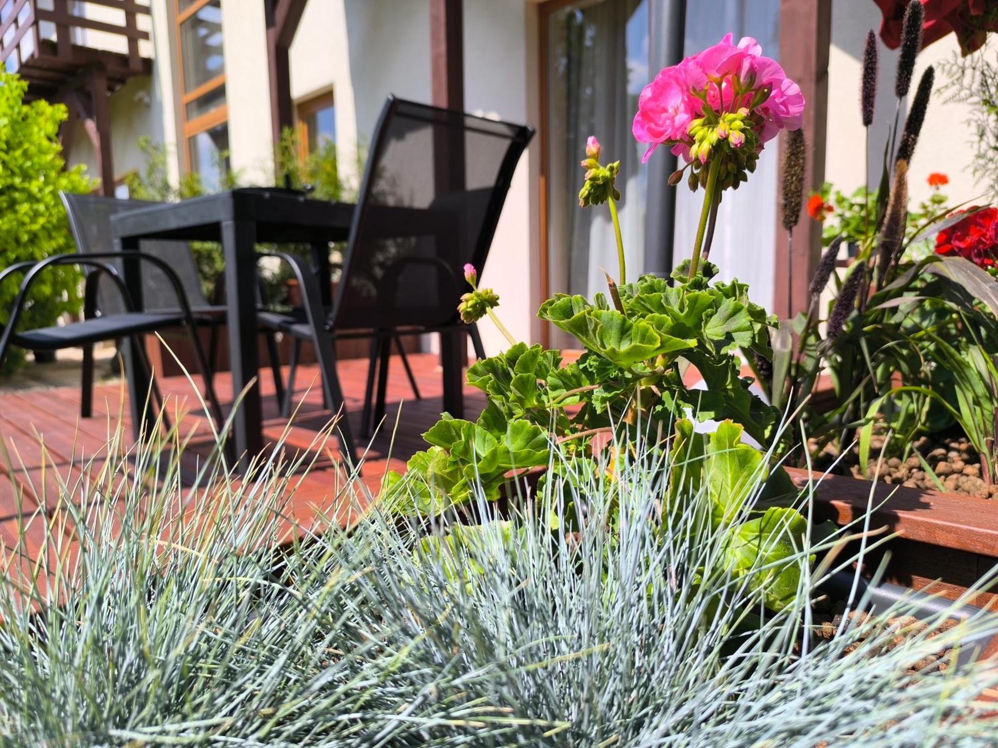 Flip-Flops Apartment Jurmala With Free Parking 外观 照片