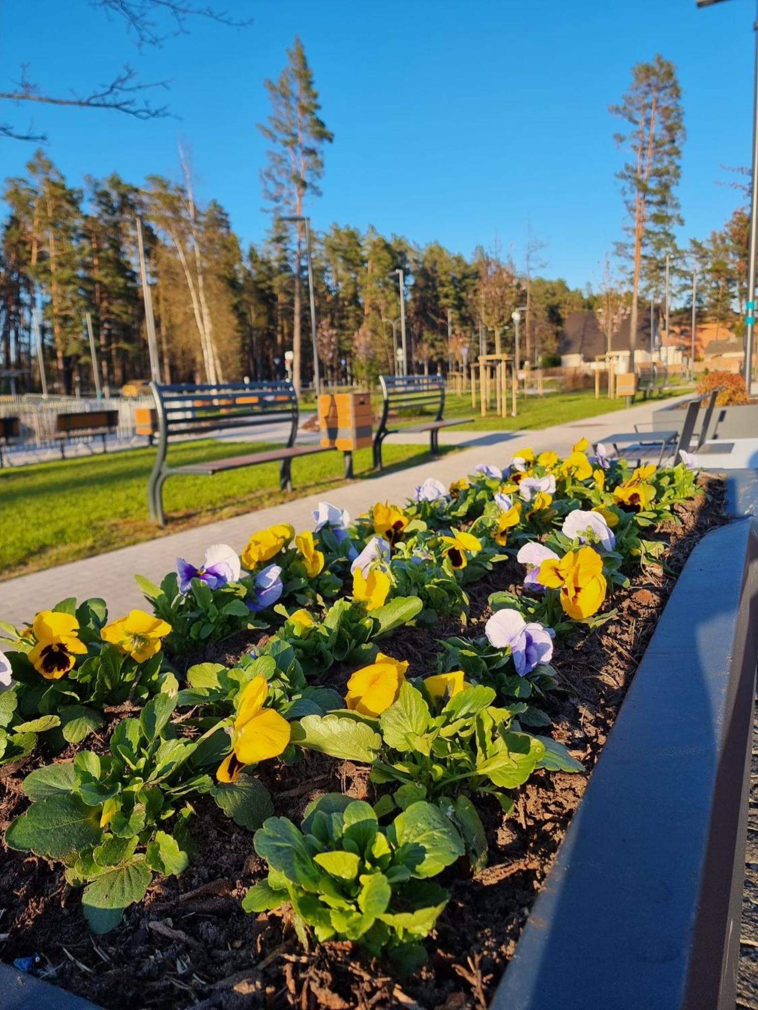 Flip-Flops Apartment Jurmala With Free Parking 外观 照片